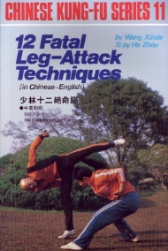 Sportboken - 12 Fatal Leg-Attack Techniques 